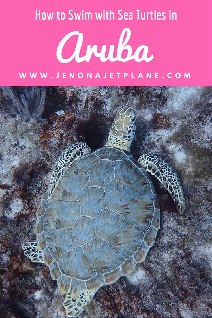 Explore shipwrecks and swim with sea turtles on an underwater adventure with Seabob Aruba!