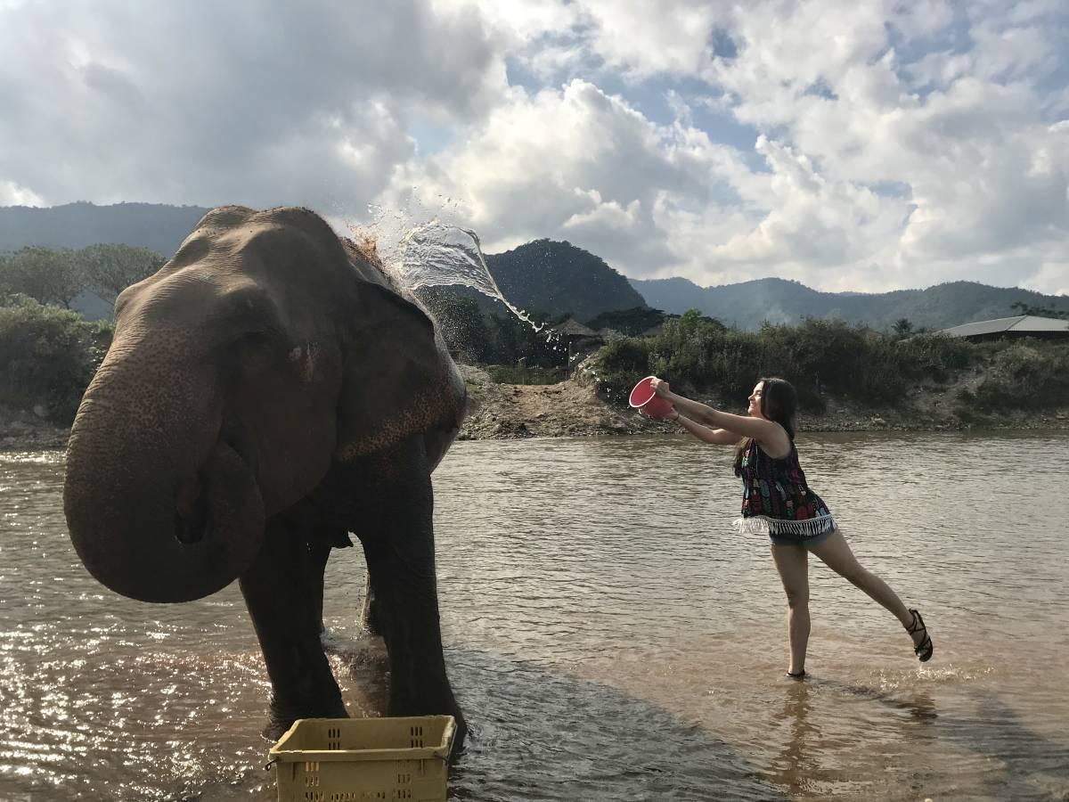 Visiting Elephant Nature Park: The Best Elephant Sanctuary in Chiang Mai, Thailand