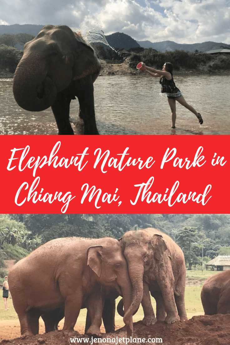 Looking for the best elephant sanctuary in Chiang Mai, Thailand? Elephant Nature Park is a highly awarded rescue where the focus is on the elephants not the visitors. Their mission is to end the practice of riding and exploiting elephants by educating the public. Save to your travel board for inspiration. #elephantnaturepark #elephantnatureparkchiangmai #elephantnatureparkthai