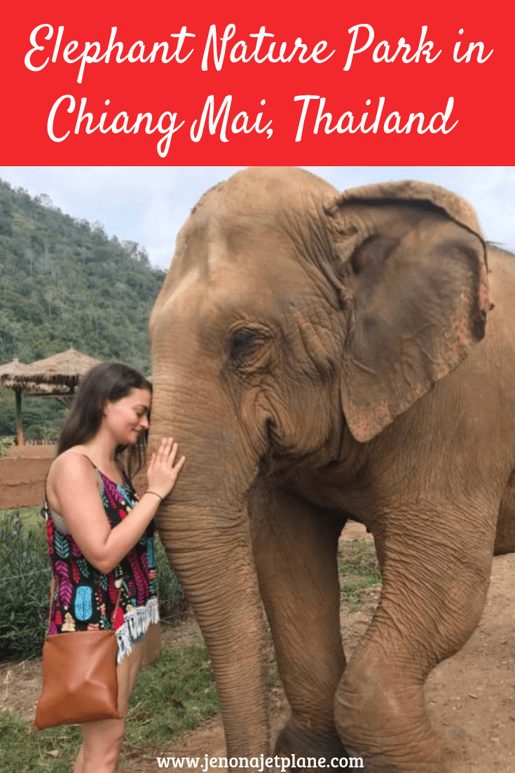 Looking for the best elephant sanctuary in Chiang Mai, Thailand? Elephant Nature Park is a highly awarded rescue where the focus is on the elephants not the visitors. Their mission is to end the practice of riding and exploiting elephants by educating the public. Save to your travel board for inspiration. #elephantnaturepark #elephantnatureparkchiangmai #elephantnatureparkthai