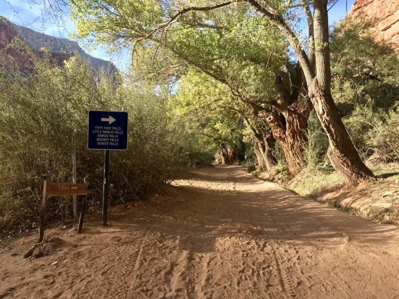 Havasu Falls Trail