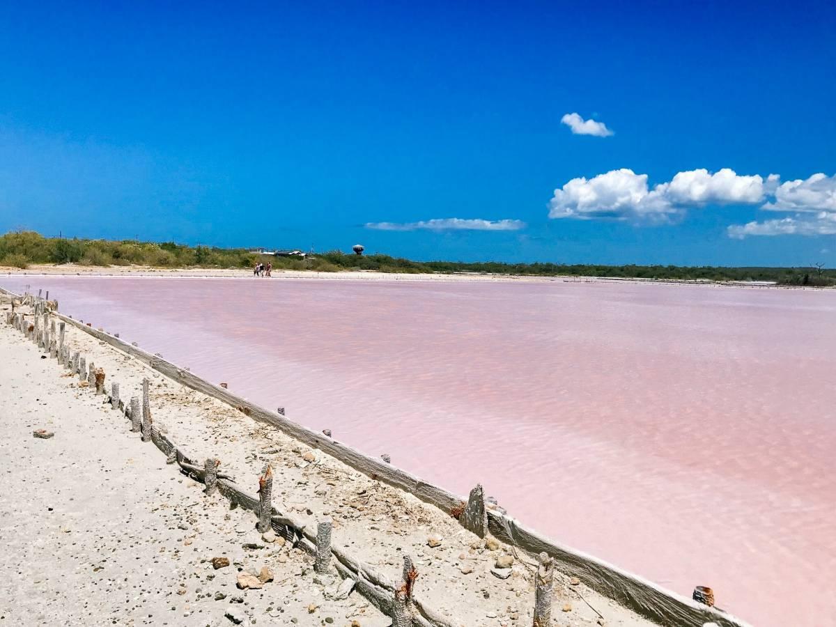 Finding Pink Lakes in Cabo Rojo: How to Visit the Salinas of Puerto Rico