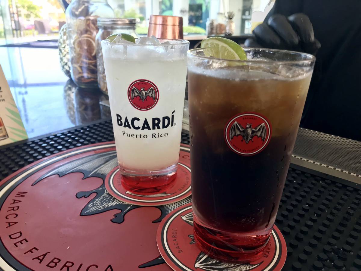 Visiting Casa Bacardí: A Review of the Bacardi Factory in Puerto Rico
