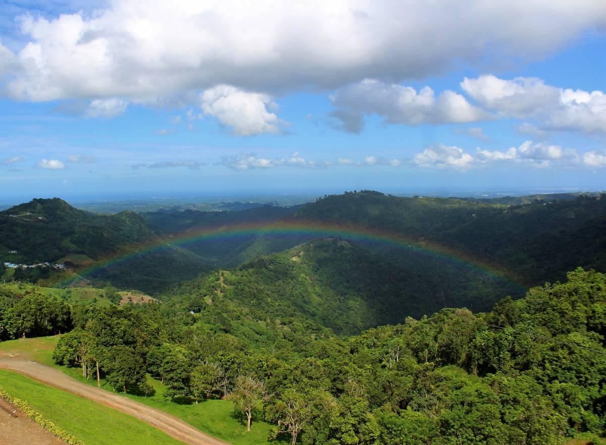 The Longest Zipline in America: Experience Toro Verde Puerto Rico