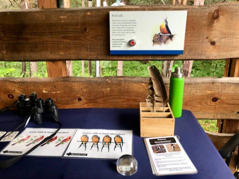 Table with bird watching pamphlets and binoculars