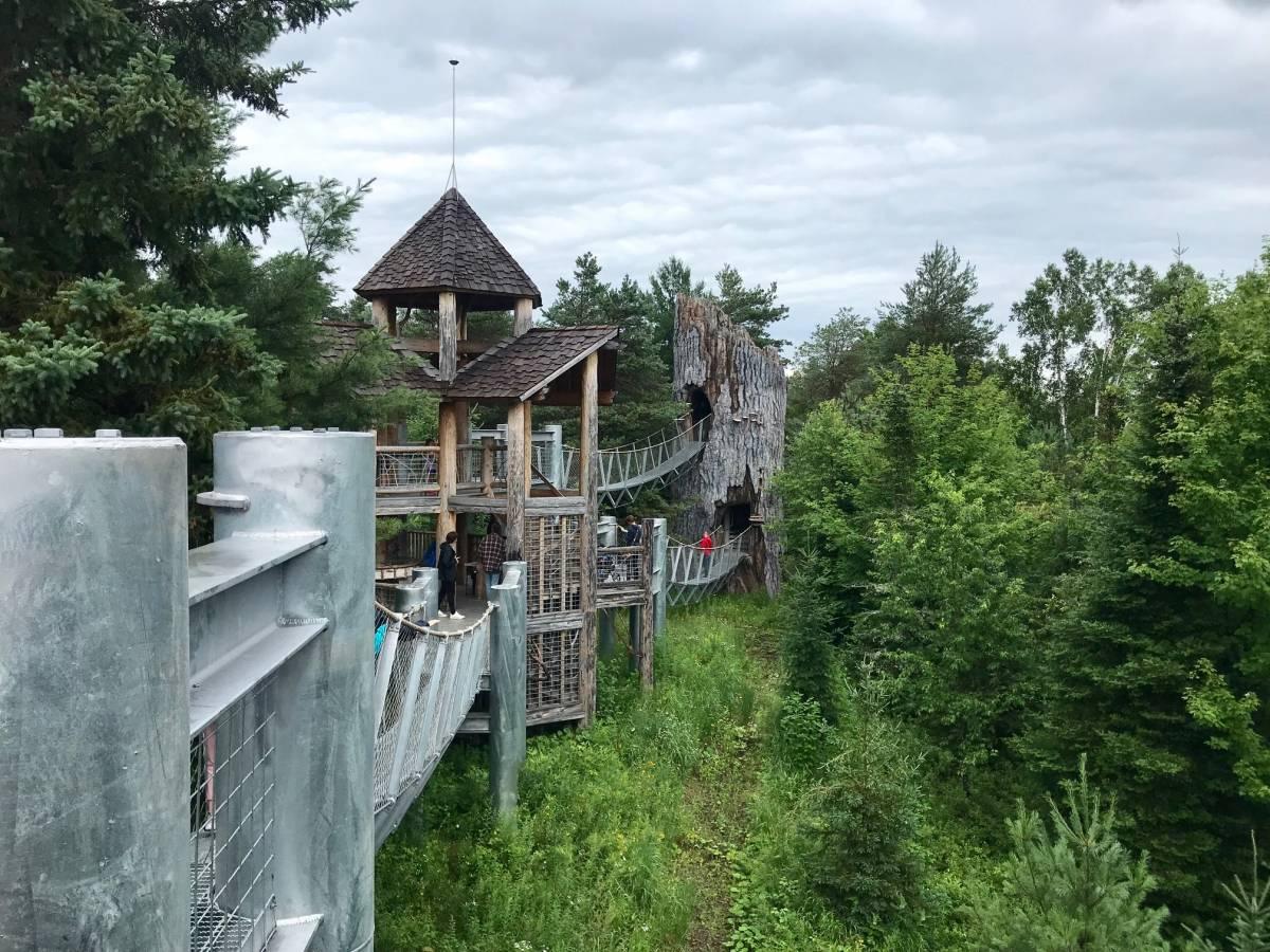 How to Plan The Perfect Visit to the Wild Center in Tupper Lake, NY