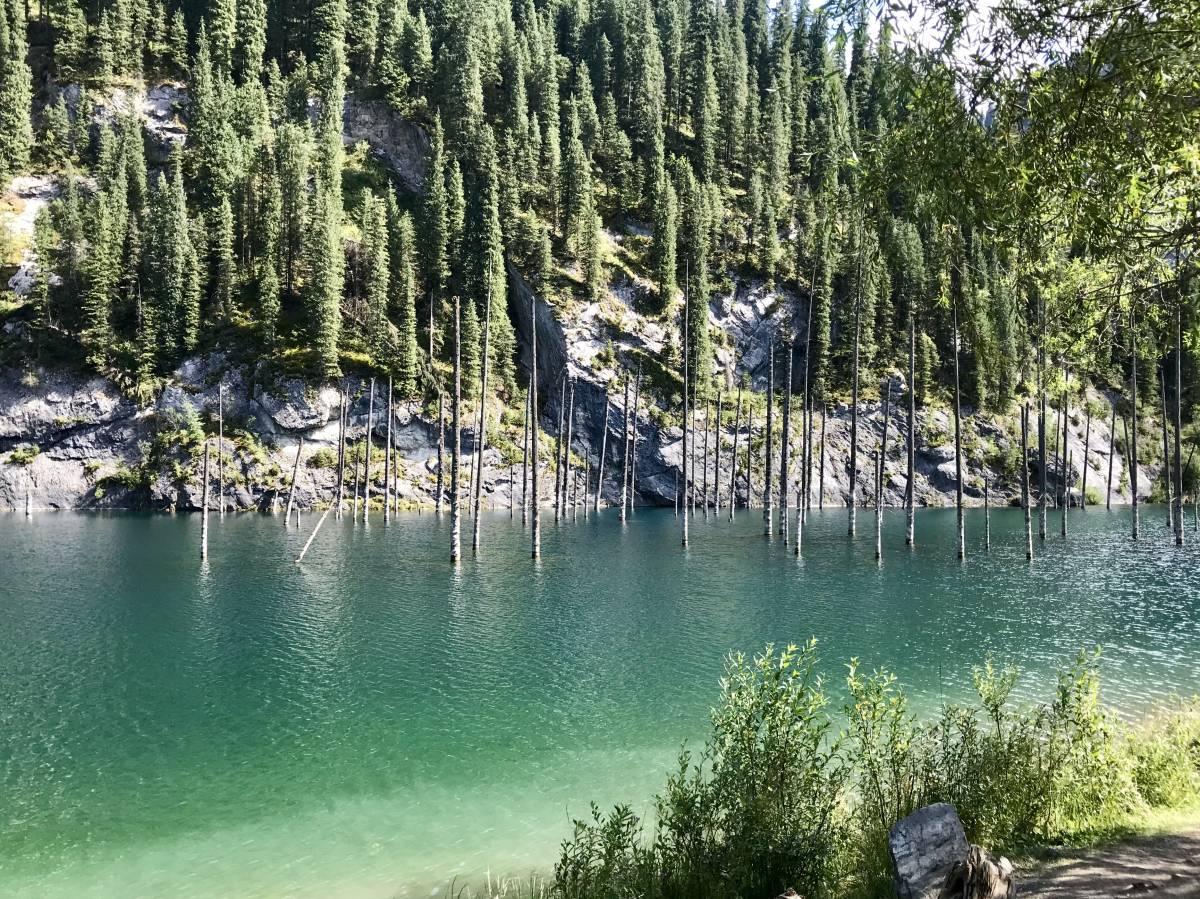 Everything You Need to Know to Visit Kaindy Lake, The Sunken Forest in Kazakhstan