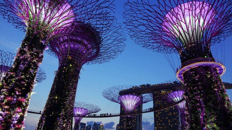 Gardens by the Bay glowing at night