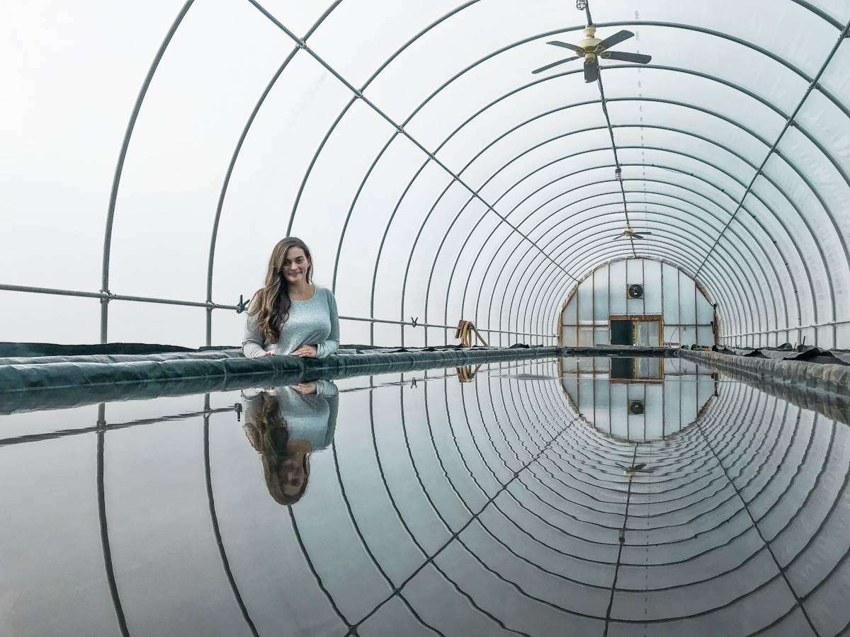 12 Fun Things to do in Charleston, WV: From ArtWalks to Appalachian Salt