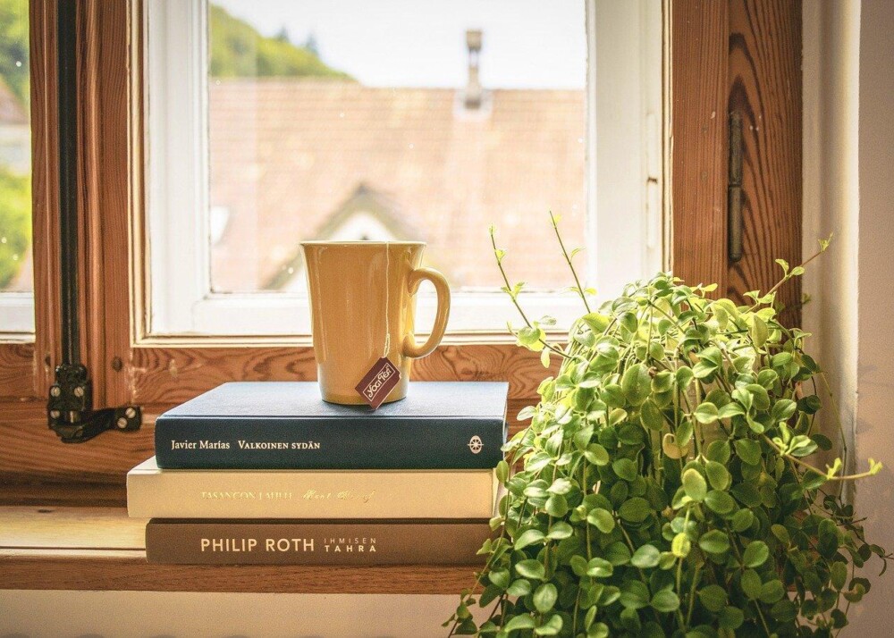 Self Publishing vs. Traditional Publishing: Which One is Right for You?