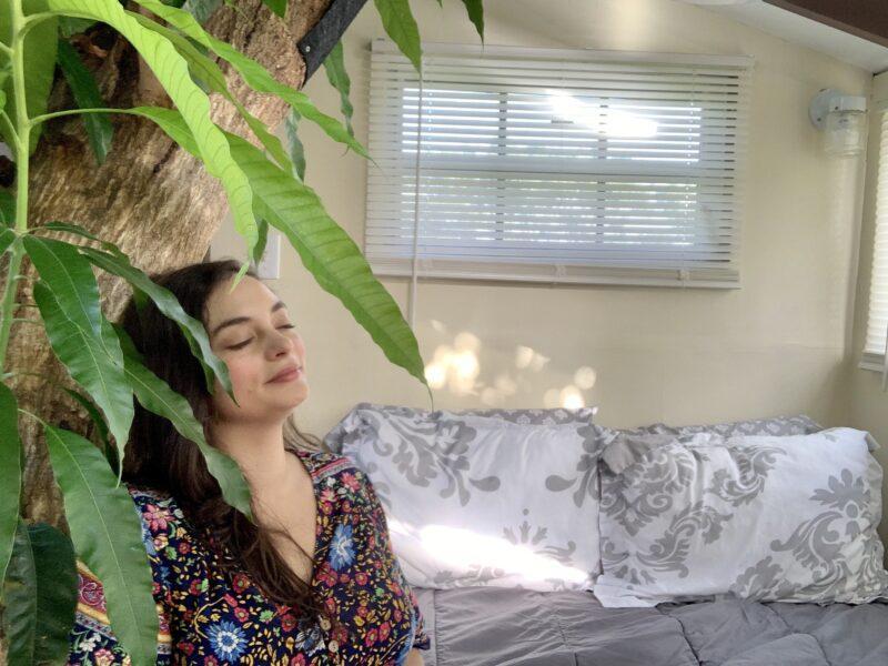 Mango tree next to bed