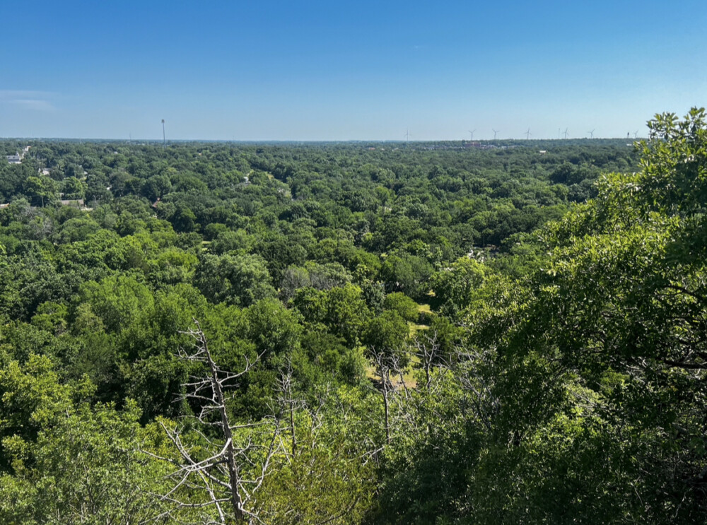 View of treetops in Chickasaw Country