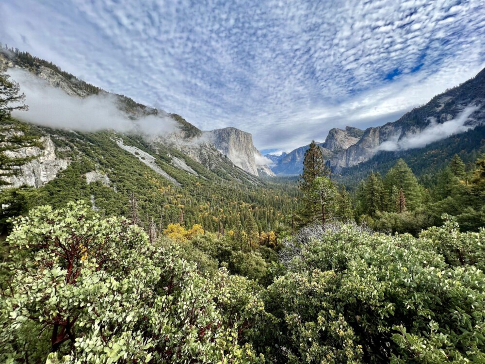 Best Views in Yosemite National Park: 6 Jaw-Dropping Stops You Can’t Miss