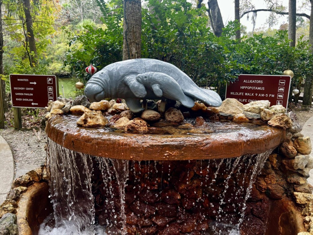 Fountain with statue of manatee