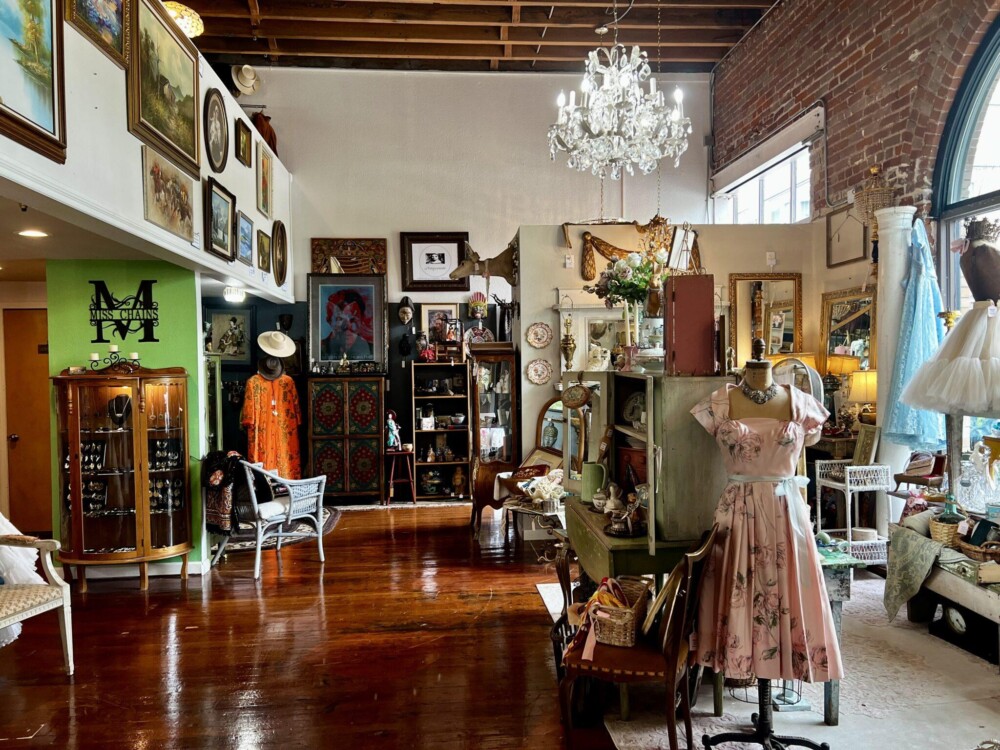 Store with assorted items and pink dress in the foreground